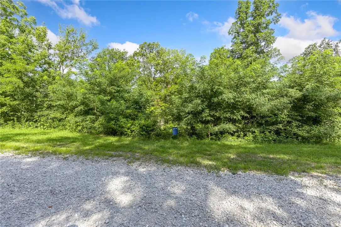 Lot 29 Peaceful Place, Harrison, AR 72601 - #1