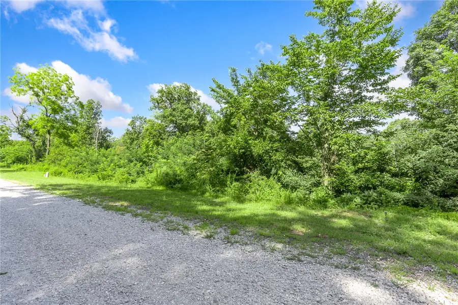 Lot 31 Peaceful Place, Harrison, AR 72601 - #3