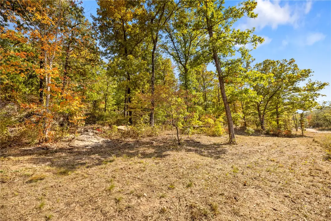 Lot 60 Restore Ridge, Harrison, AR 72601 - #1