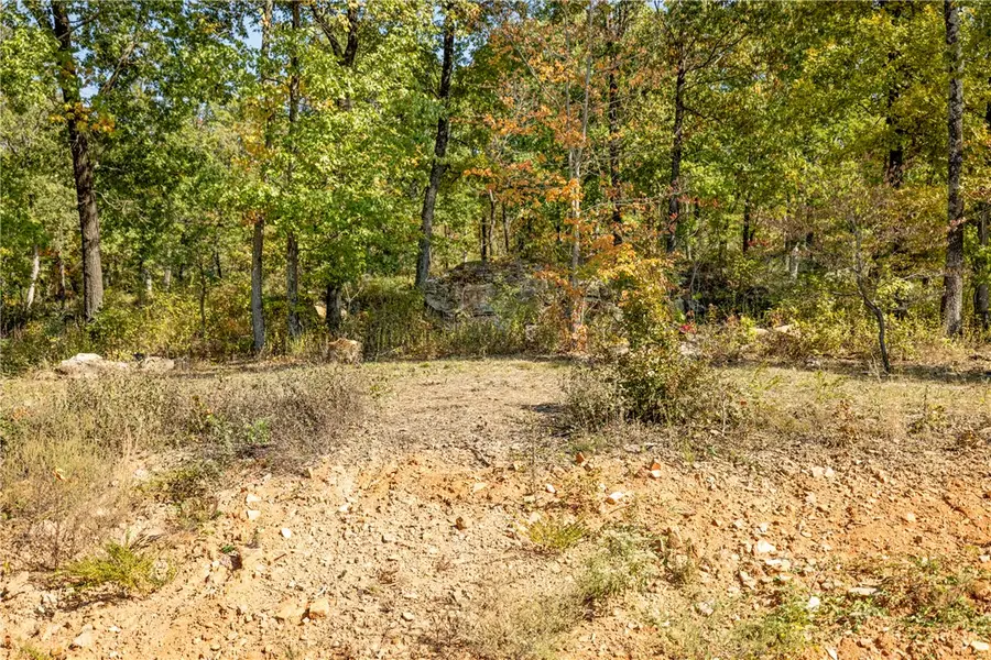 Lot 60 Restore Ridge, Harrison, AR 72601 - #3