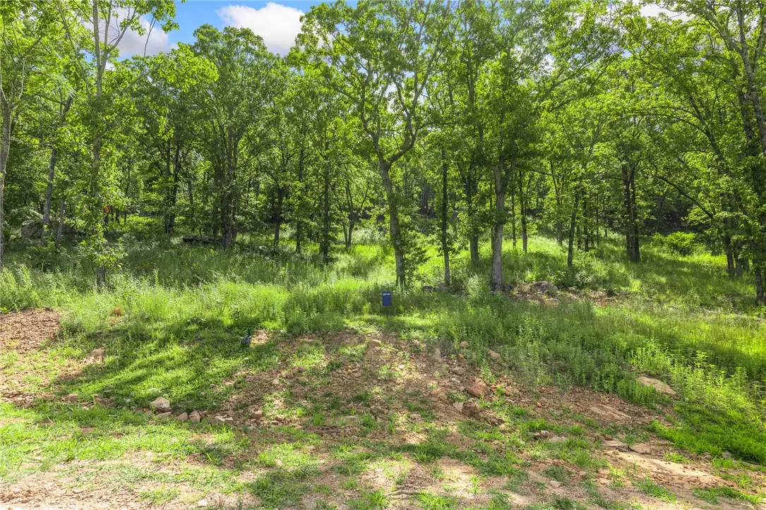 Lot 62 Restore Ridge, Harrison, AR 72601 - #1