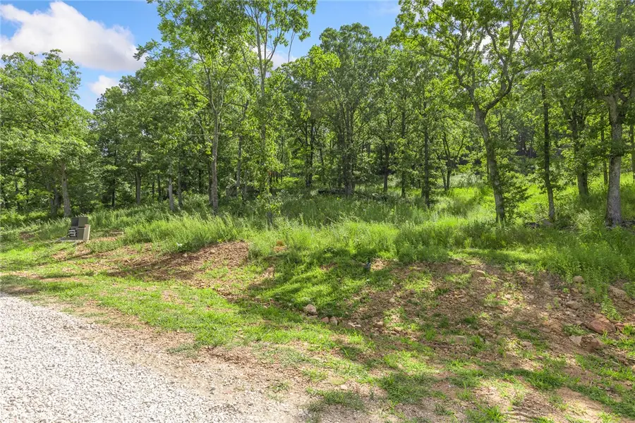 Lot 62 Restore Ridge, Harrison, AR 72601 - #3