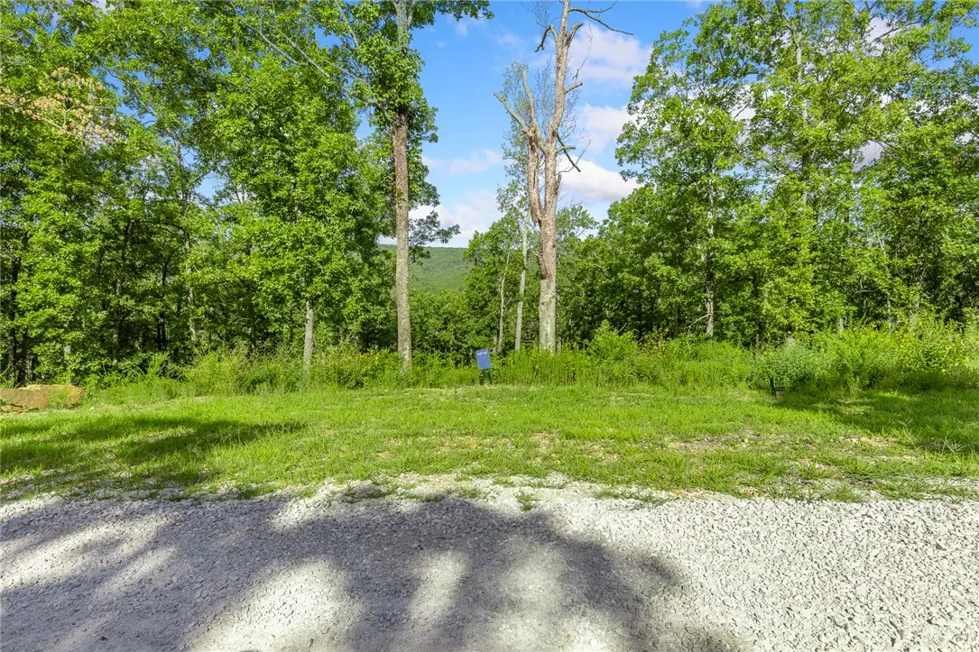 Lot 67 Restore Ridge, Harrison, AR 72601 - #1