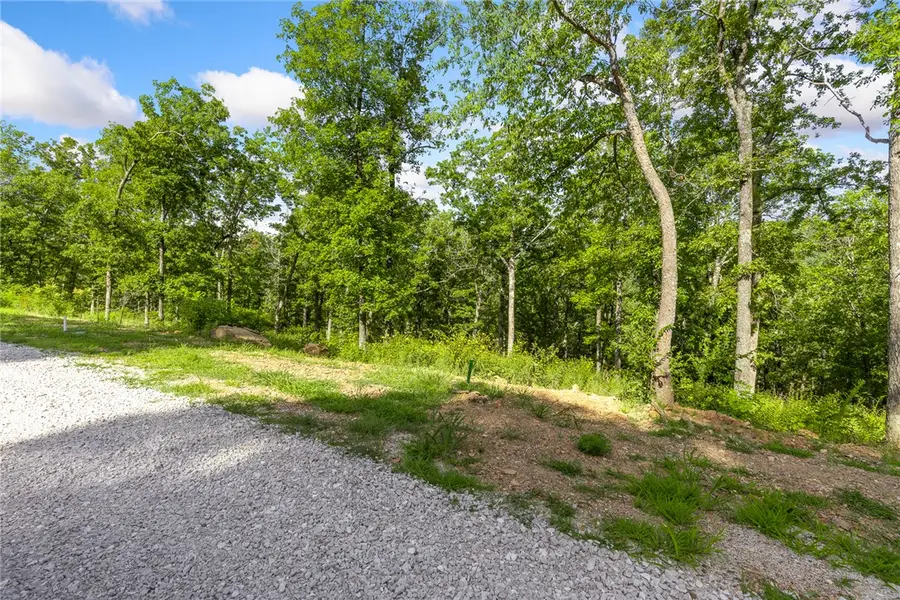 Lot 69 Restore Ridge, Harrison, AR 72601 - #3