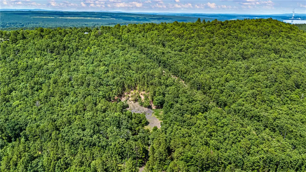 TBD Nichols Lane, Delaware, AR 72835 - #1