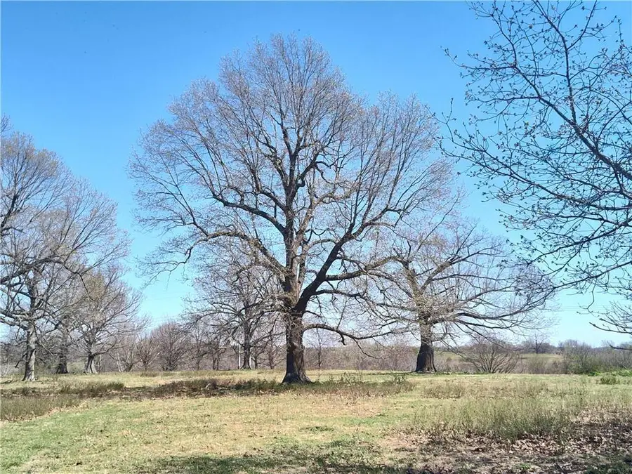 94.77 acres Hewitt Springs, Springdale, AR 72764 - #2
