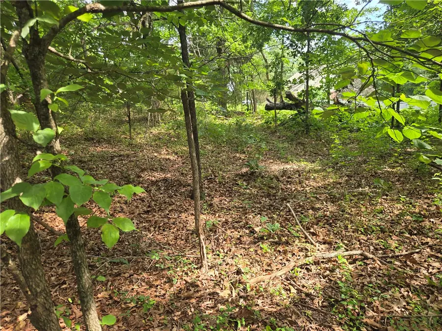TBD Witherby Drive, Bella Vista, AR 72714 - #2