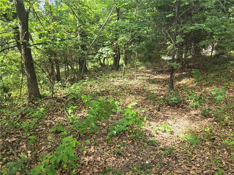 TBD Witherby Drive, Bella Vista, AR 72714 - #3