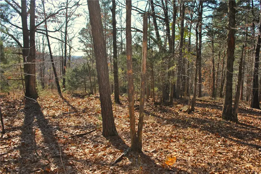 18178 Railroad Cut Road, Rogers, AR 72756 - #2