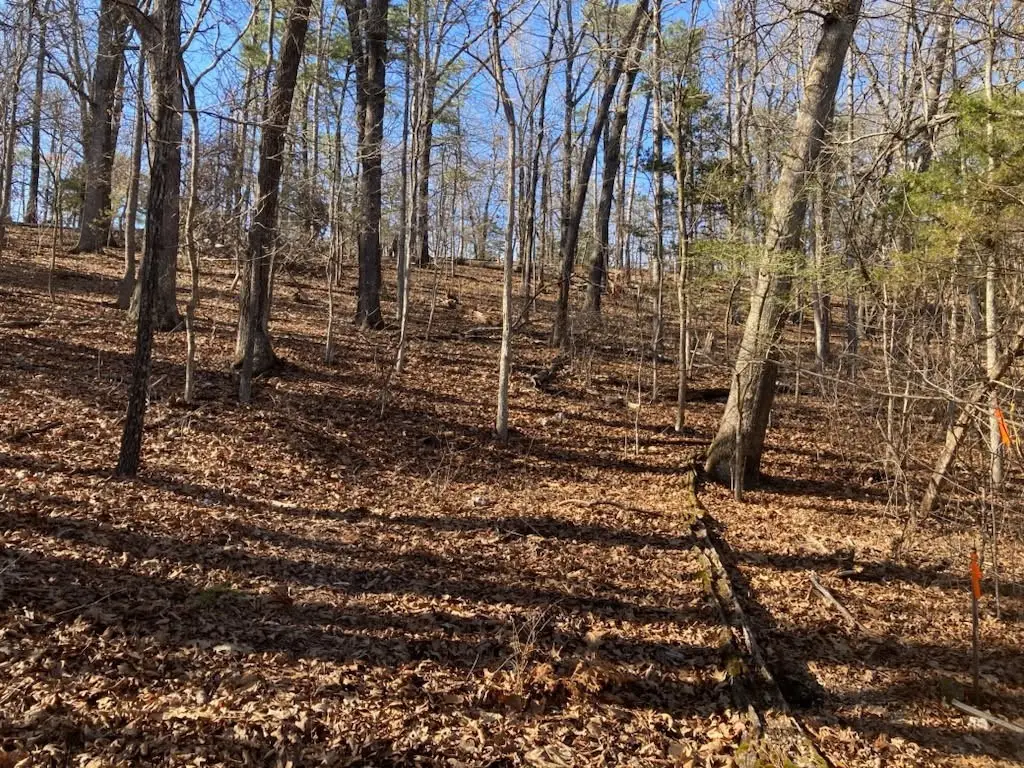 TBD Oregon Avenue, Eureka Springs, AR 72632 - #1
