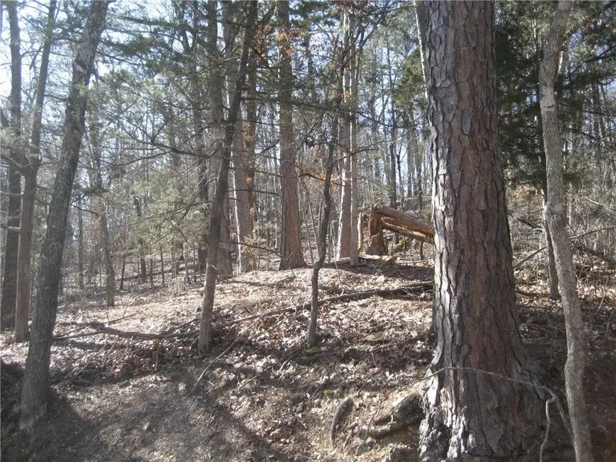 TBD Oregon Avenue, Eureka Springs, AR 72632 - #3
