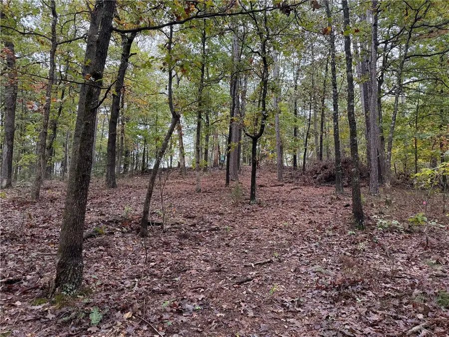 TBD Potter Lane, Bella Vista, AR 72715 - #3