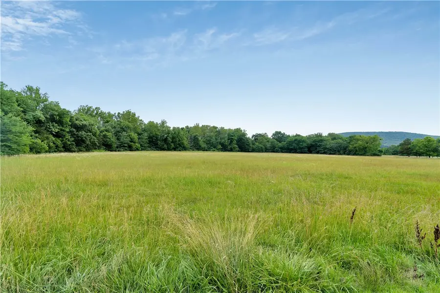 11023 Illinois Chapel Road, Prairie Grove, AR 72753 - #3