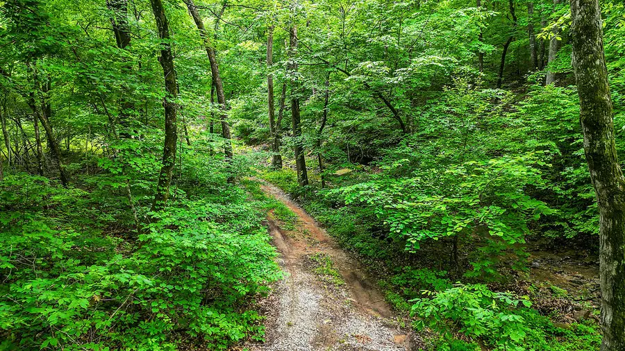 TBD 21.34 Acres Cove Creek, Prairie Grove, AR 72753 - #3