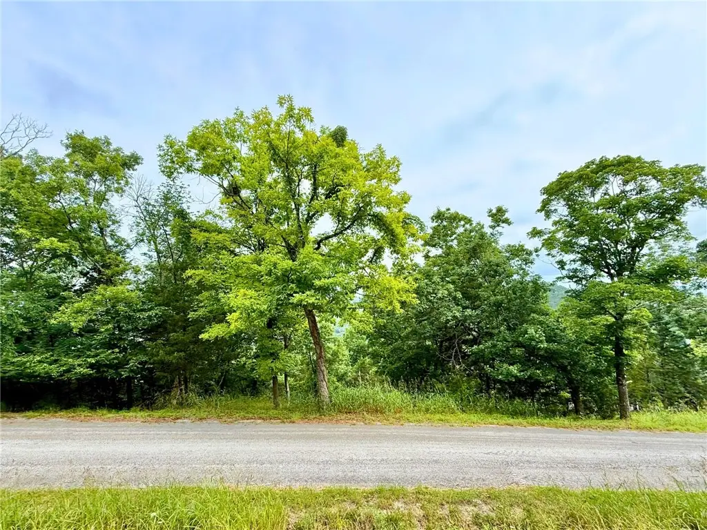 TBD Beaver Drive, Holiday Island, AR 72631 - #1