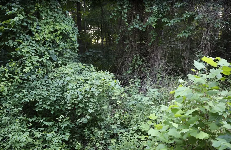 Lot 12 Thaxted Drive, Bella Vista, AR 72715 - #2