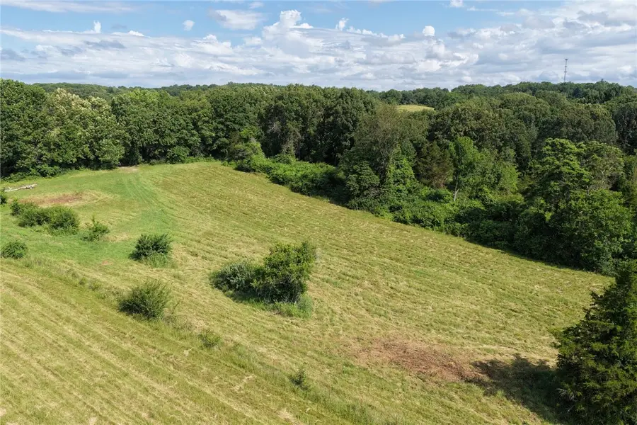 Herb Terry Road, Harrison, AR 72601 - #3