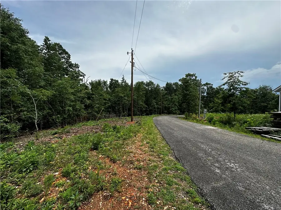 Lot 10 Blk 4 Lasswade Circle, Bella Vista, AR 72712 - #3