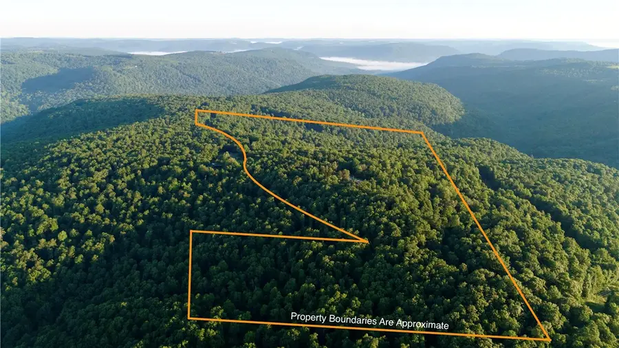 HC 31 Box 120 F, Jasper, AR 72641 - #2