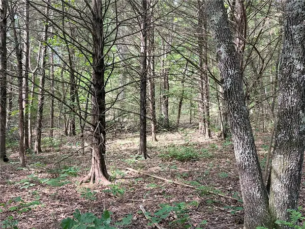 Lot 10 Seaton Drive, Bella Vista, AR 72714