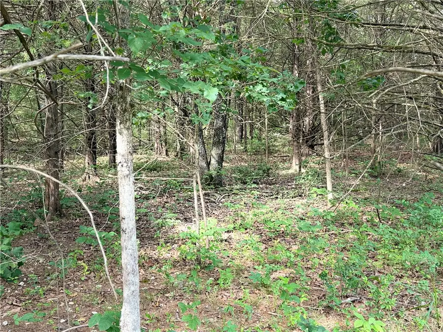 Lot 10 Seaton Drive, Bella Vista, AR 72714 - #3
