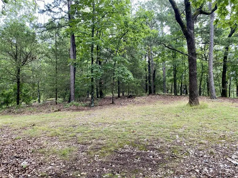 TBD Passion Play Road, Eureka Springs, AR 72632 - #1