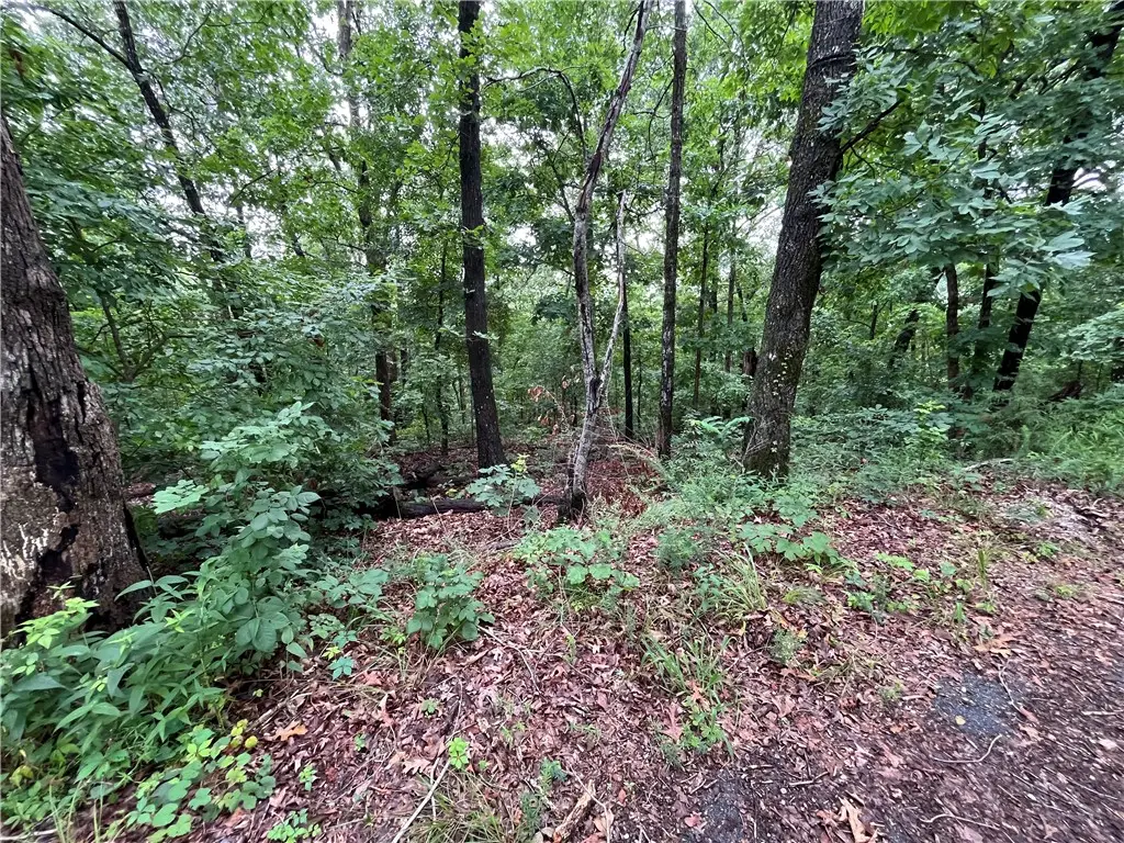 Lot 3, Block 6 Dunstable Drive, Bella Vista, AR 72714 - #1
