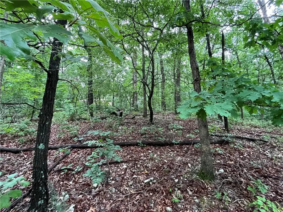 Lot 3, Block 6 Dunstable Drive, Bella Vista, AR 72714 - #2