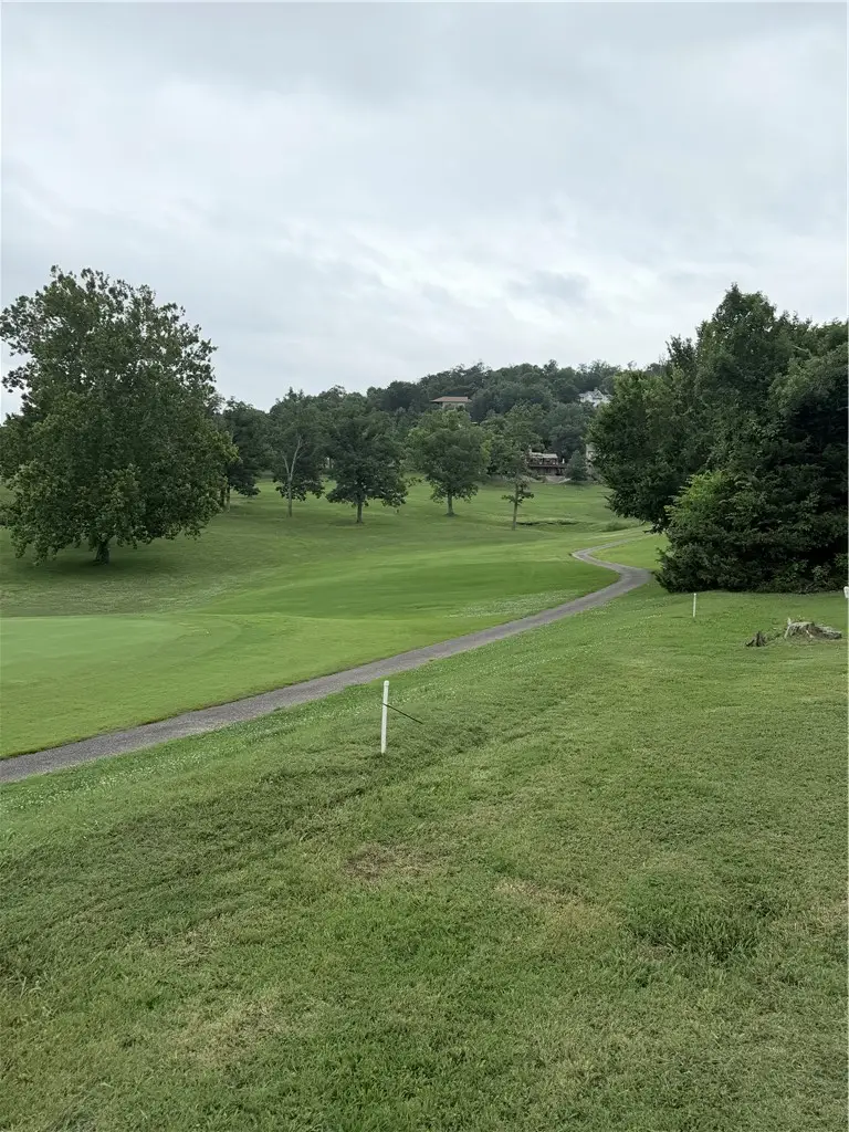 24 Appaloosa Drive, Holiday Island, AR 72631 - #2