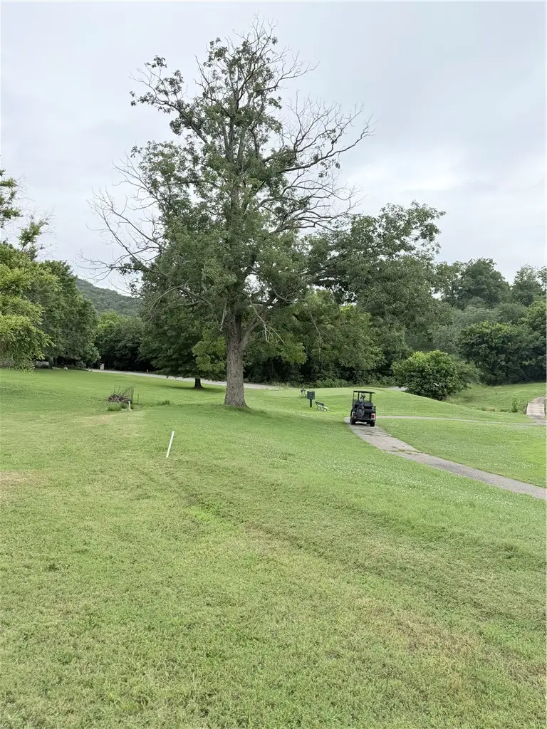 24 Appaloosa Drive, Holiday Island, AR 72631 - #3
