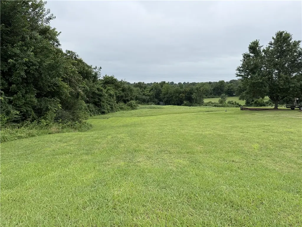 1320 W Holt Avenue, Harrison, AR 72601 - #1