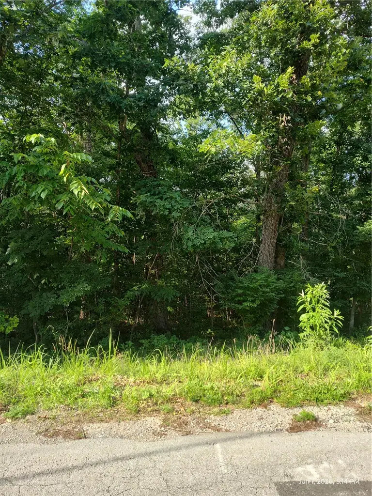 Allington Drive, Bella Vista, AR 72715 - #1