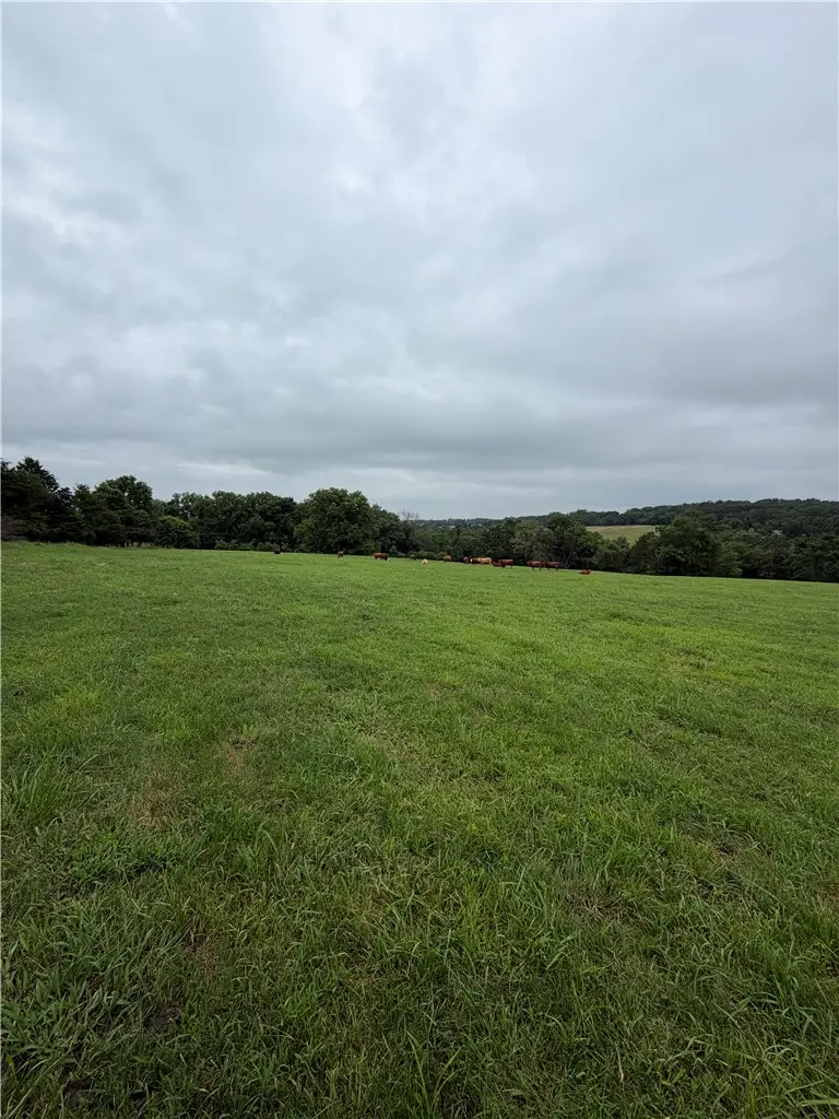 TBD Cr 440, Berryville, AR 72616 - #3