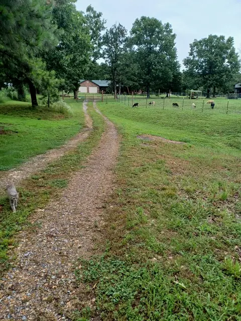 468145 648 Road, Watts, OK 74964 - #3
