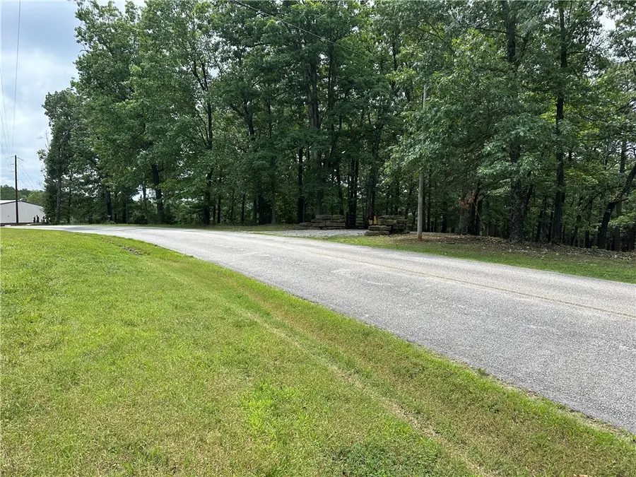 1175 Cr-152, Eureka Springs, AR 72632 - #2