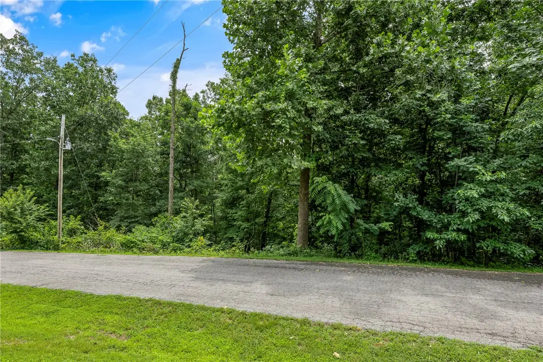 Sanquhar Lane, Bella Vista, AR 72715 - #1