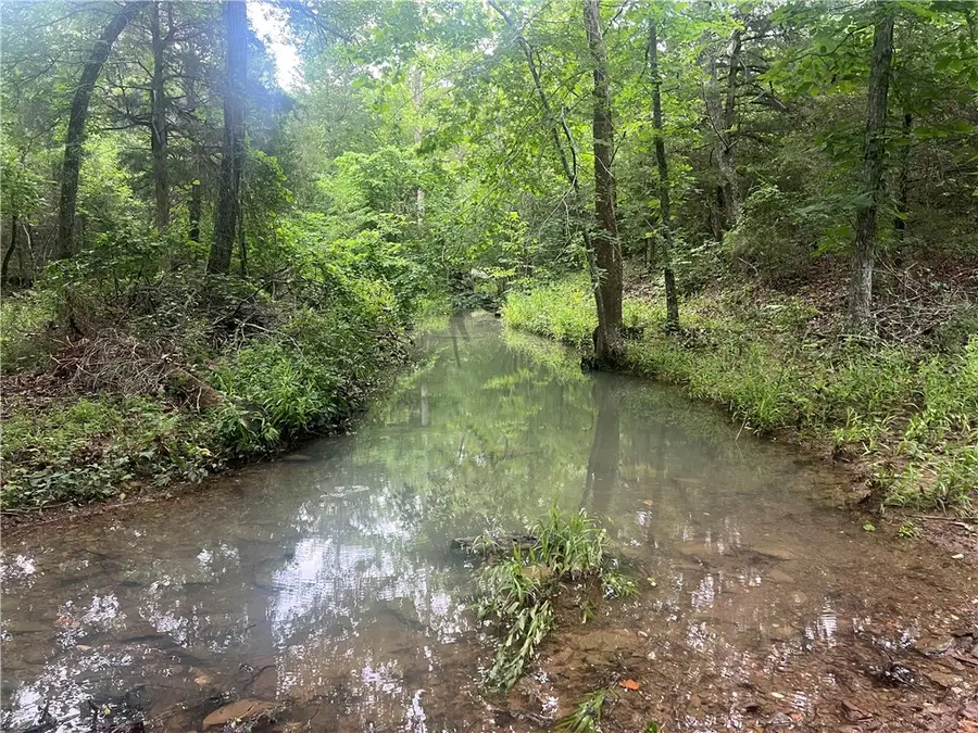 TBD Downing (wc 136) Road, Fayetteville, AR 72701 - #2