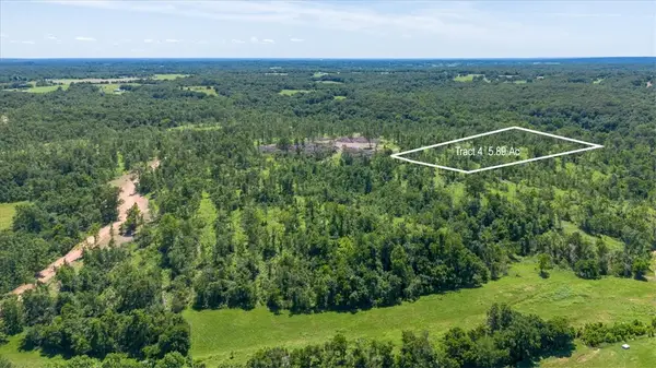 Lot 4 Adams Road, Goodman, MO 64843