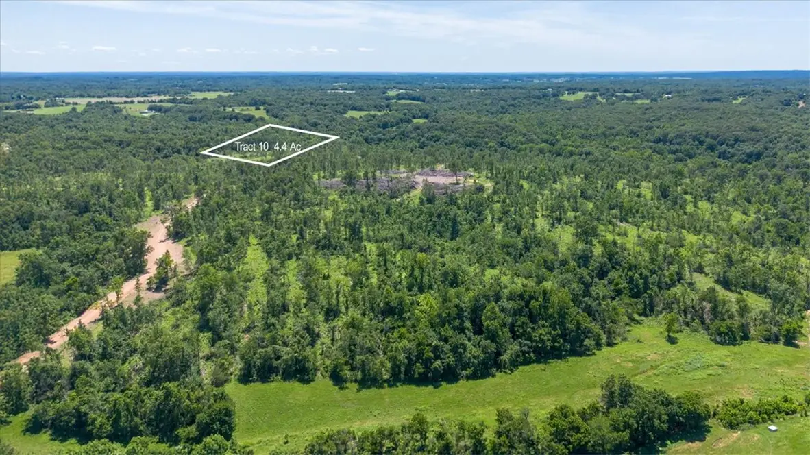 Lot 10 Adams Road, Goodman, MO 64843 - #1