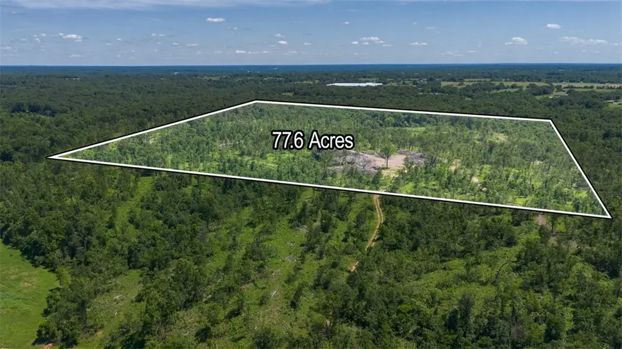 Lot 10 Adams Road, Goodman, MO 64843 - #3