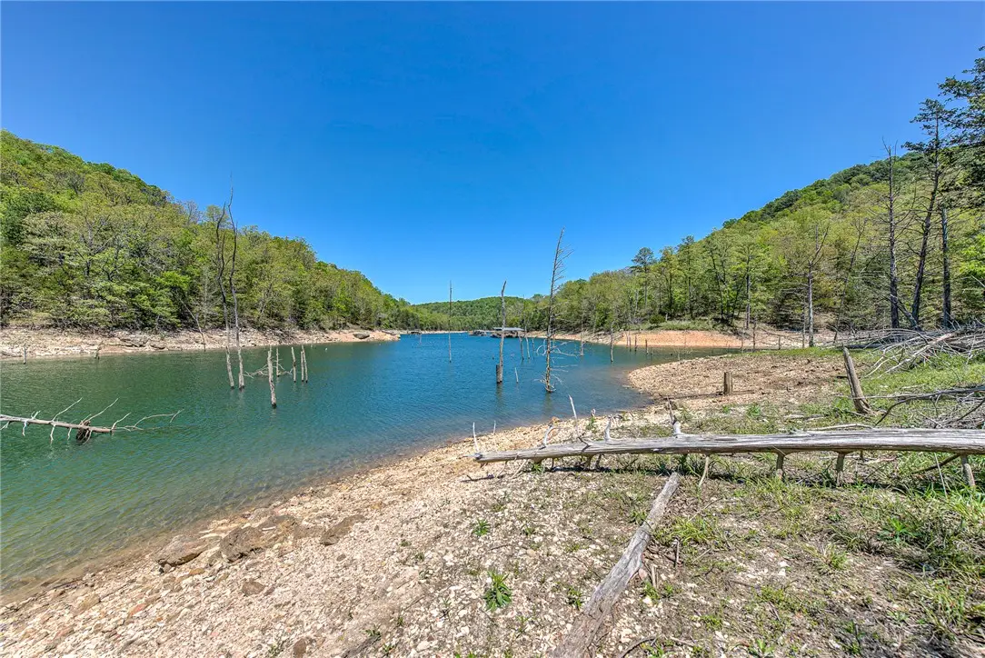Lot 1 Eagle Cove Road, Eureka Springs, AR 72631 - #1
