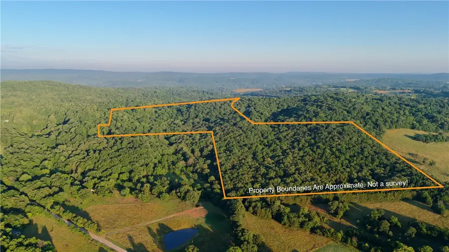 0000 Salem Cemetery Road, Elkins, AR 72727 - #3