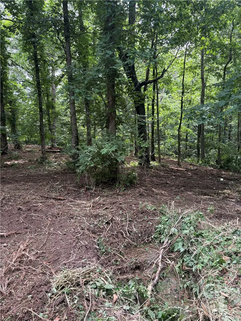 LOT 2 Holme Lane, Bella Vista, AR 72714 - #1