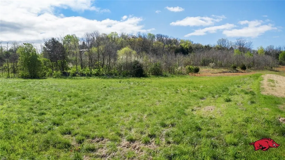 TBD N Cato Springs Road, Greenland Township, AR 72701 - #1
