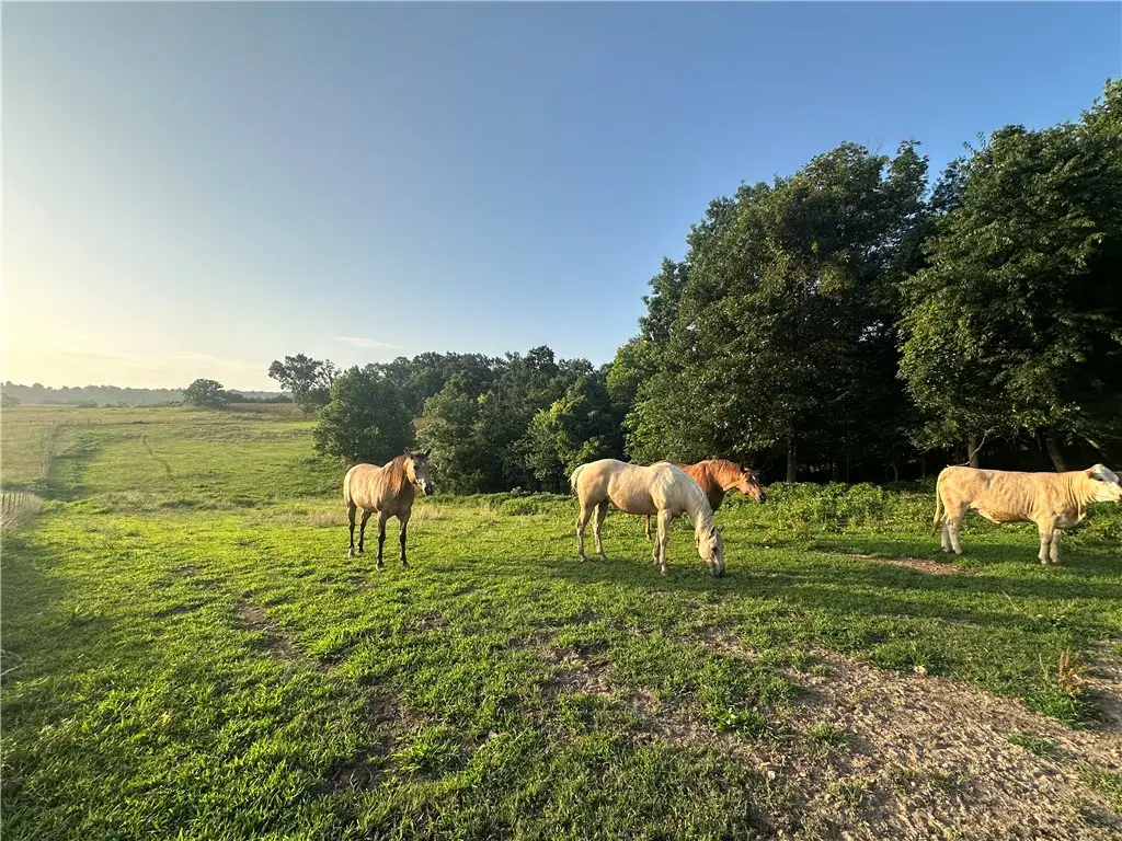 TBD Madison 7615 Road, Huntsville, AR 72740 - #1