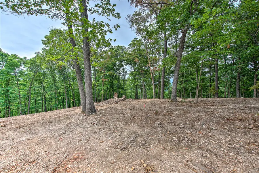 Lot 10 Eagle Cove Road, Eureka Springs, AR 72631 - #3