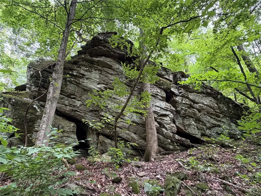 000 Nc 8330, Jasper, AR 72641 - #3