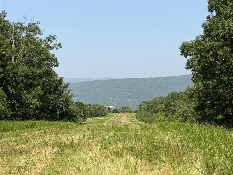 001 Madison 3202, Huntsville, AR 72740 - #2