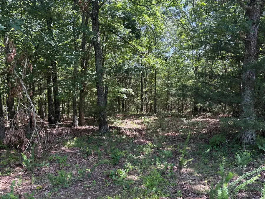 001 Madison 3202, Huntsville, AR 72740 - #3