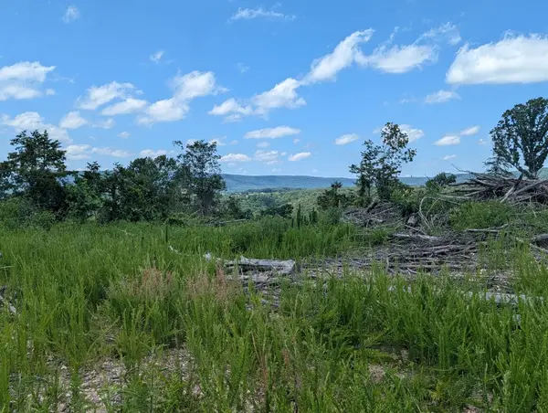 Nc 2900, Marble Falls, AR 72648